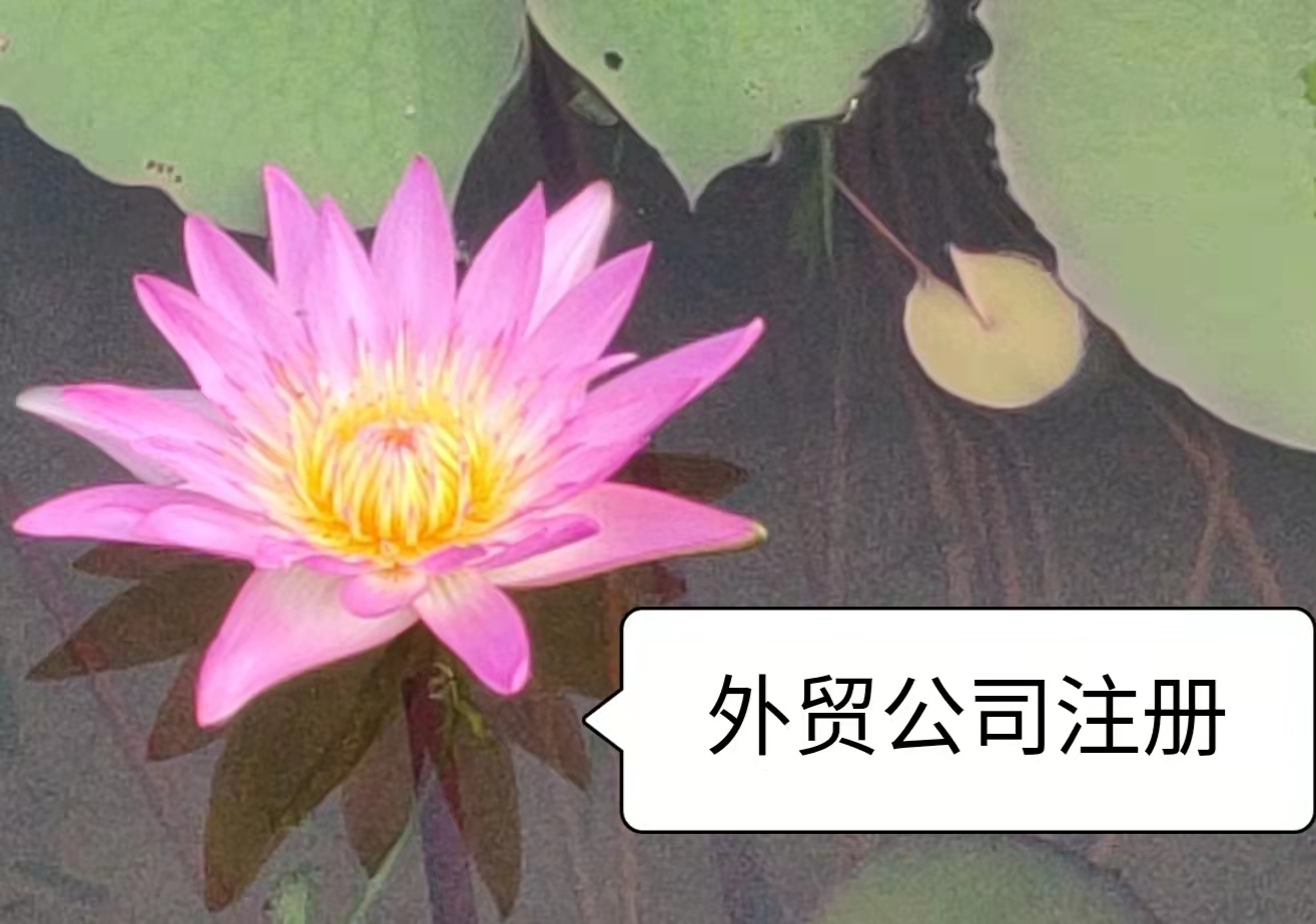 外贸公司注册代办(外贸公司注册代理)