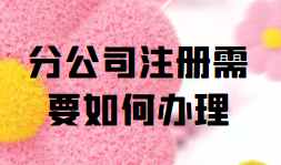 分公司注册需要如何办理(分公司注册流程及需要的材料)