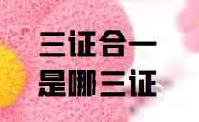 三证合一是哪三证(三证合一后的营业执照)