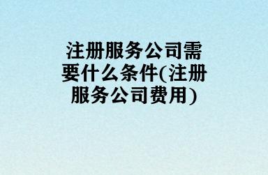 注册服务公司需要什么条件(注册服务公司费用) 注册服务公司需要什么条件(注册服务公司费用)