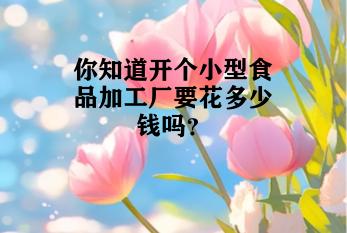 你知道开个小型食品加工厂要花多少钱吗？