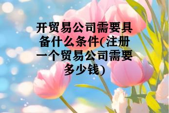 开贸易公司需要具备什么条件(注册一个贸易公司需要多少钱) 开贸易公司需要具备什么条件(注册一个贸易公司需要多少钱)
