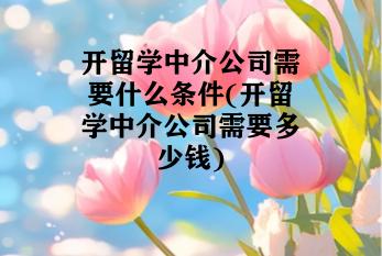 开留学中介公司需要什么条件(开留学中介公司需要多少钱)