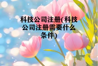 科技公司注册(科技公司注册需要什么条件)