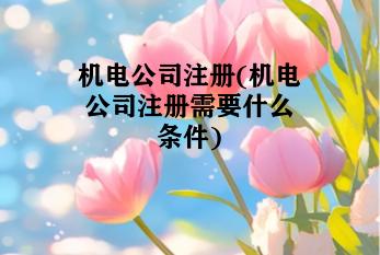 机电公司注册(机电公司注册需要什么条件) 机电公司注册(机电公司注册需要什么条件)