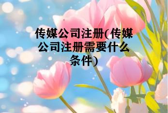 传媒公司注册(传媒公司注册需要什么条件)