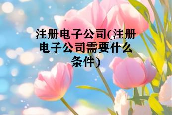 注册电子公司(注册电子公司需要什么条件) 注册电子公司(注册电子公司需要什么条件)