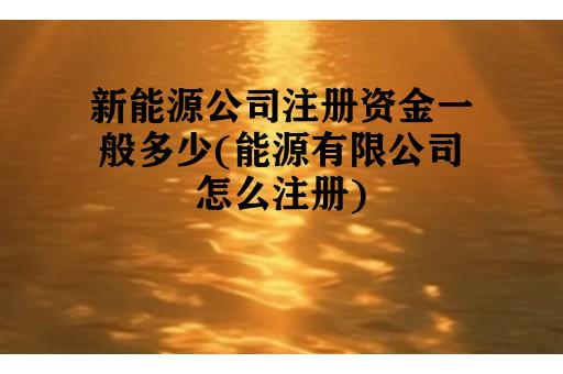 新能源公司注册资金一般多少(能源有限公司怎么注册)