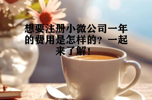 想要注册小微公司一年的费用是怎样的？一起来了解！