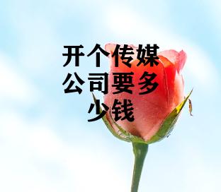 开个传媒公司要多少钱