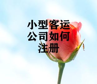 小型客运公司如何注册
