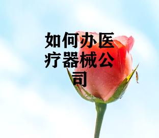 如何办医疗器械公司
