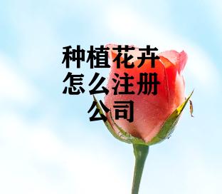 种植花卉怎么注册公司