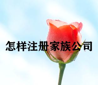 怎样注册家族公司