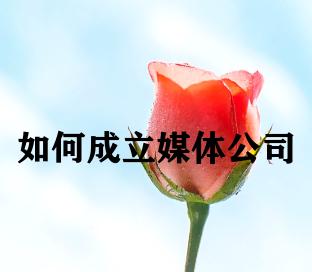 如何成立媒体公司 如何成立媒体公司