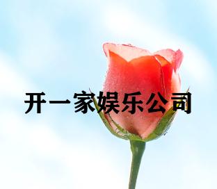 开一家娱乐公司