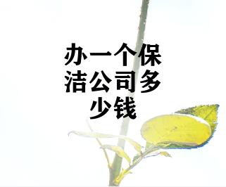 办一个保洁公司多少钱