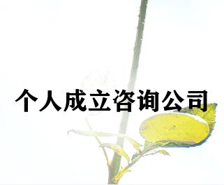个人成立咨询公司 个人成立咨询公司