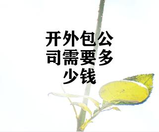 开外包公司需要多少钱