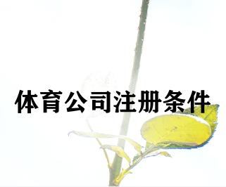 体育公司注册条件 体育公司注册条件