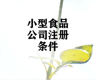 小型食品公司注册条件