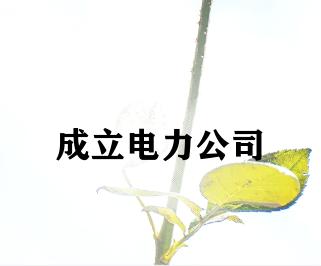 成立电力公司 成立电力公司