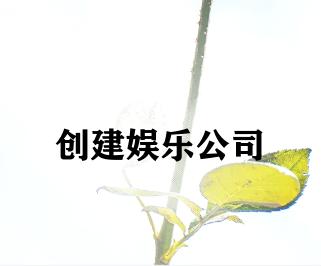 创建娱乐公司 创建娱乐公司