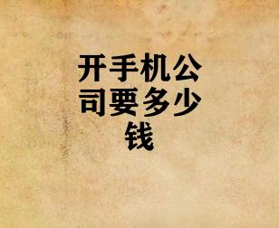 开手机公司要多少钱