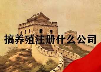 搞养殖注册什么公司 搞养殖注册什么公司