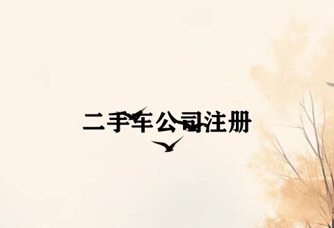 二手车公司注册