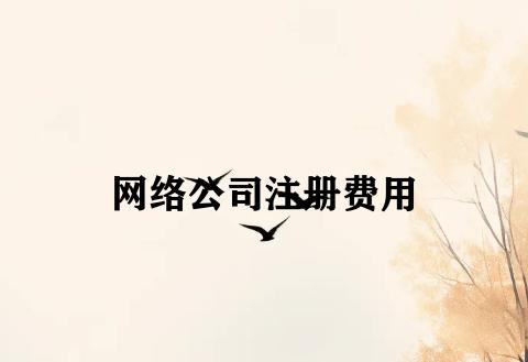 网络公司注册费用 网络公司注册费用