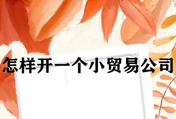 怎样开一个小贸易公司 怎样开一个小贸易公司