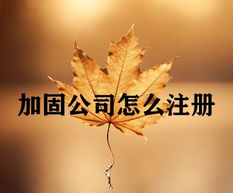 加固公司怎么注册