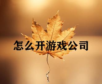 怎么开游戏公司