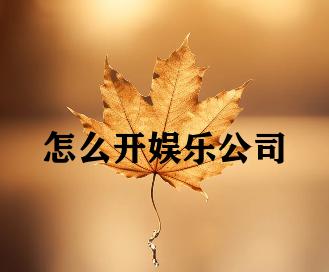 怎么开娱乐公司
