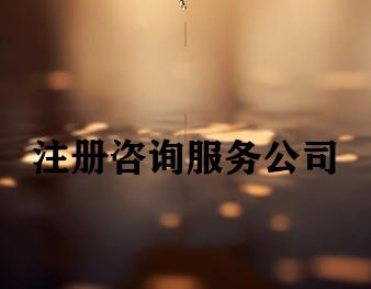 注册咨询服务公司