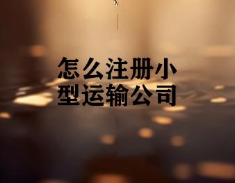 怎么注册小型运输公司
