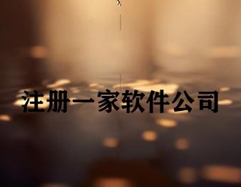 注册一家软件公司