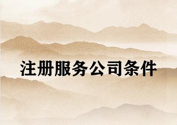 注册服务公司条件