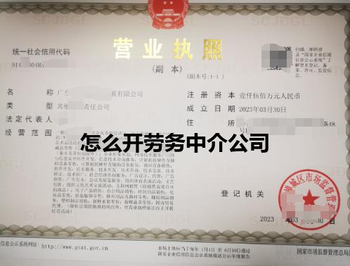 怎么开劳务中介公司