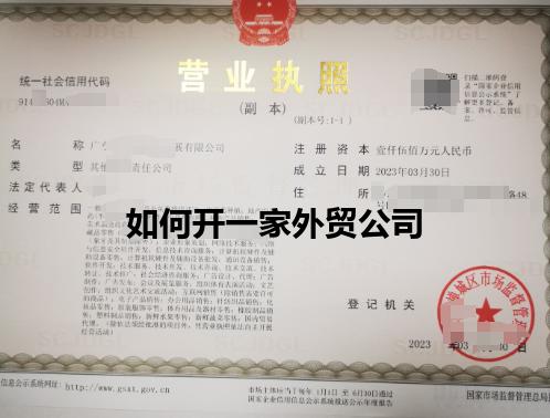 如何开一家外贸公司