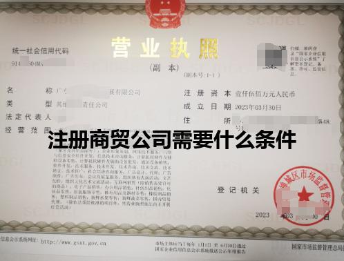 注册商贸公司需要什么条件