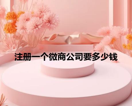 注册一个微商公司要多少钱 注册一个微商公司要多少钱